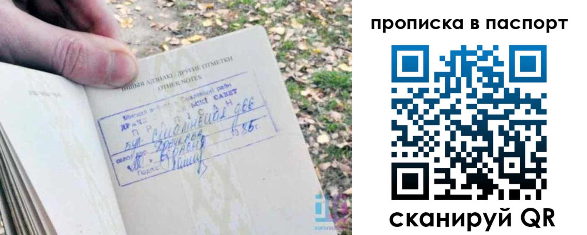 купить прописку в Мантурово